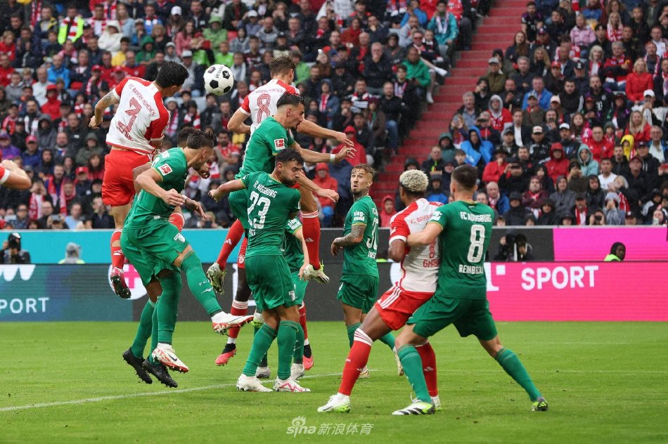 这足以说明 这足以说明